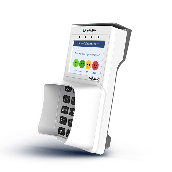 Valor Paytech VP300 image